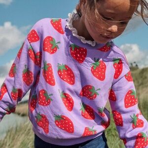 Mini Boden Strawberry Sweatshirt (4-5y)